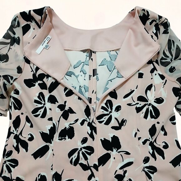 Studio One New York Women Fit & Flare Short Sleeve Pink Black Floral Dress Sz 12 - Picture 6 of 11